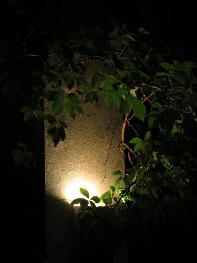 Nature'S Pace Holidays Montmaur  Exterior photo